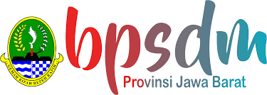 Partner 31